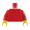 Torso